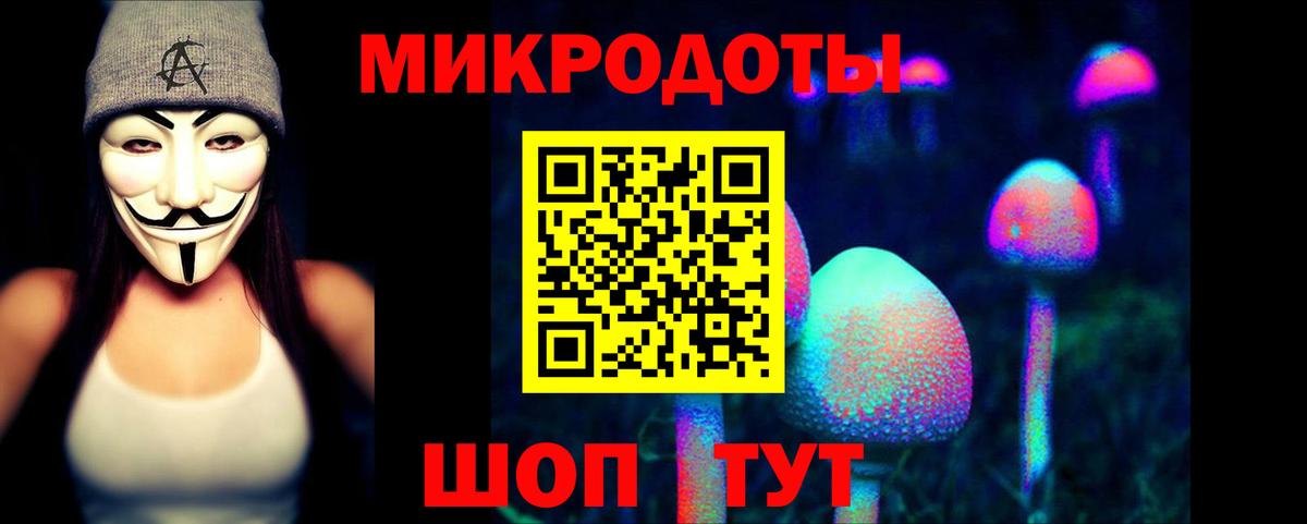 Галлюциногенные грибы мухоморы Воркута